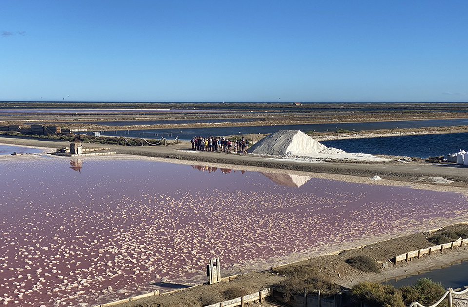 GRUISSAN SALIN VISITE